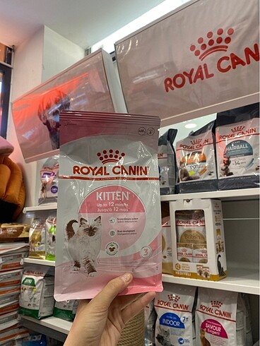 Kitten royal canın