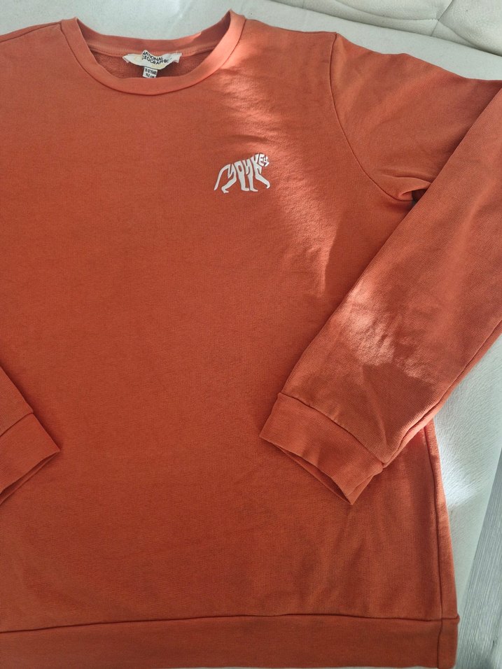 Turuncu erkek cocuk Uzun Kollu Sweatshirt - Görsel 2