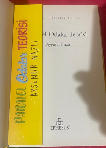 Paralel Odalar Teorisi - Aysenur Nazlı - Görsel 4