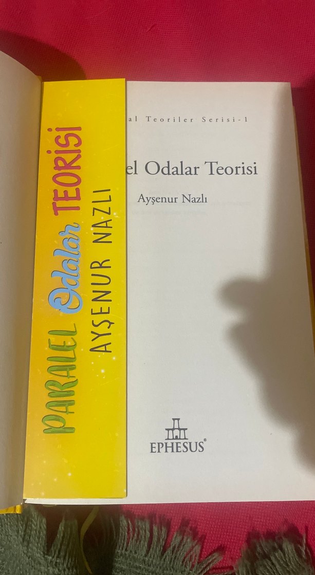 Paralel Odalar Teorisi - Aysenur Nazlı - Görsel 4