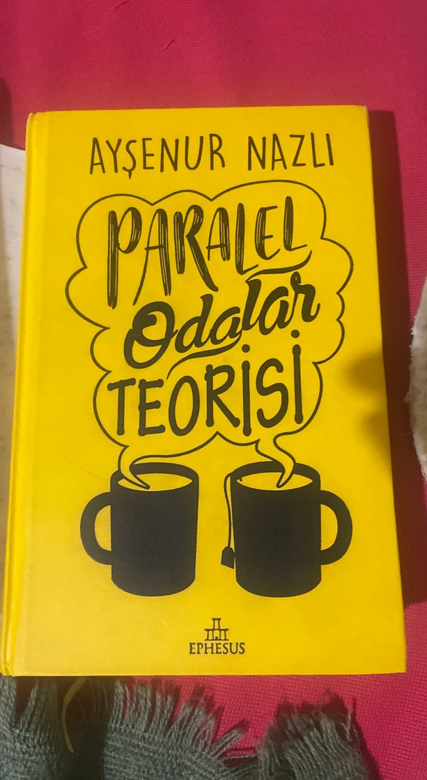 Paralel Odalar Teorisi - Aysenur Nazlı - Görsel 5