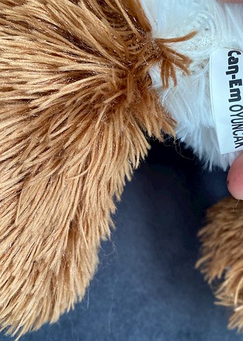 Beden Can-en peluş tüylü köpecik