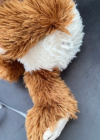 Beden Renk Can-en peluş tüylü köpecik