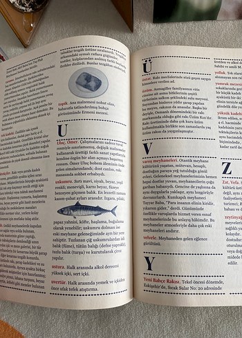 Rakı Ajandası 2018 - Şiir Kitabı - Görsel 4