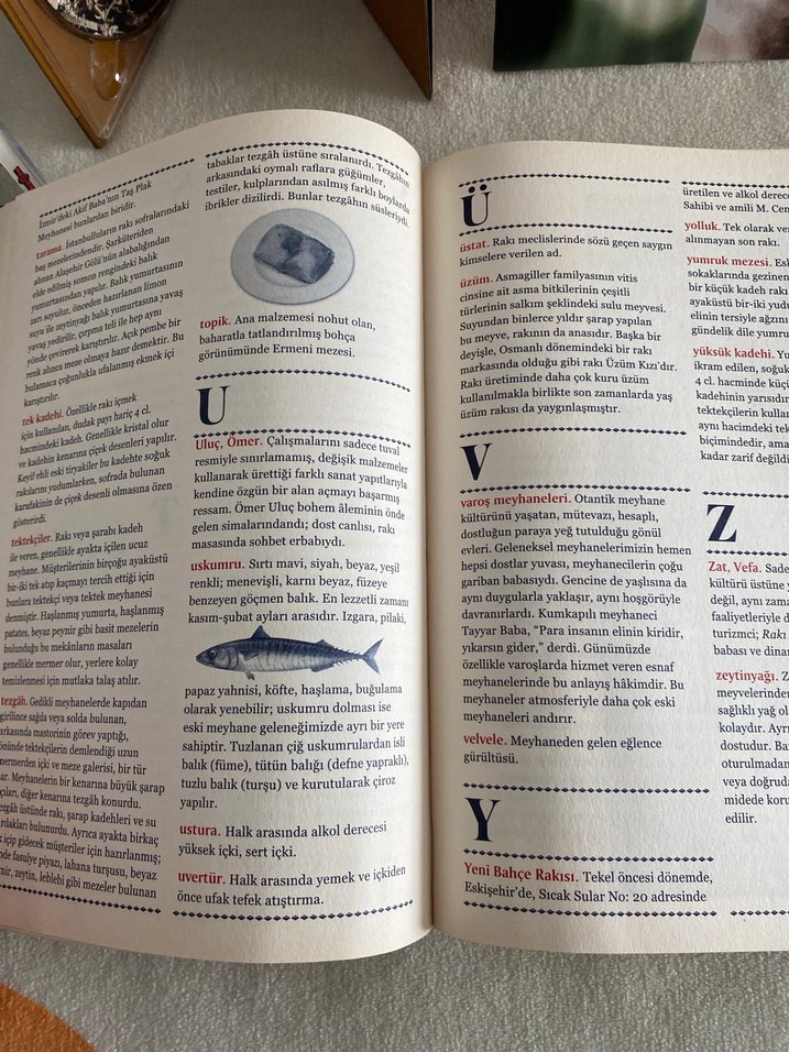 Rakı Ajandası 2018 - Şiir Kitabı - Görsel 4