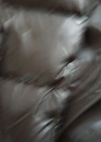 Siyah Deri Kadın Kışlık Mont, Düğmeli, Yüksek Yaka - Görsel 5