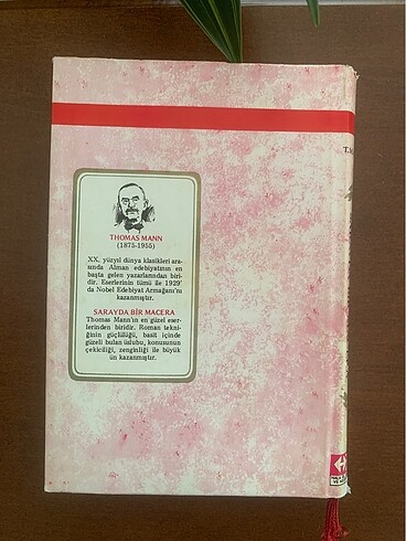 SARAYDA BİR MACERA -THOMAS MANN