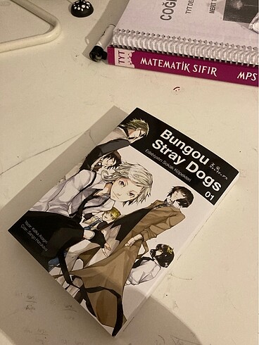 bungou stray dogs türkçe manga