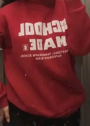 Diğer sweatshirt