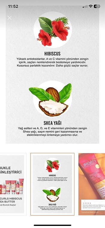 Urban Care Twisted Curls Hibiscus & Shea Butter Durulanmayan Bak - Görsel 6