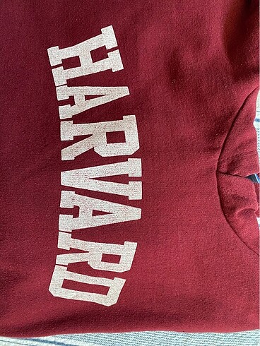 Hardvard Sweatshirt