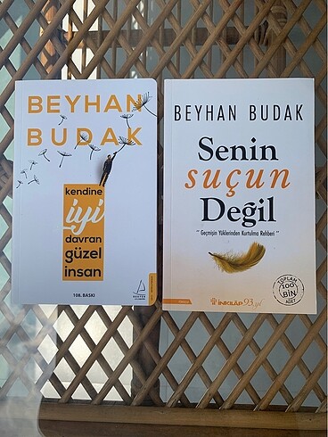 Beden Renk Kişisel Gelişim Kitapları (HASARSIZ)