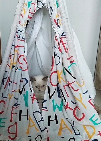 Oyun çadırı
