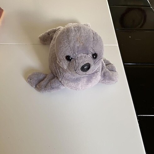 Peluş fok balığı