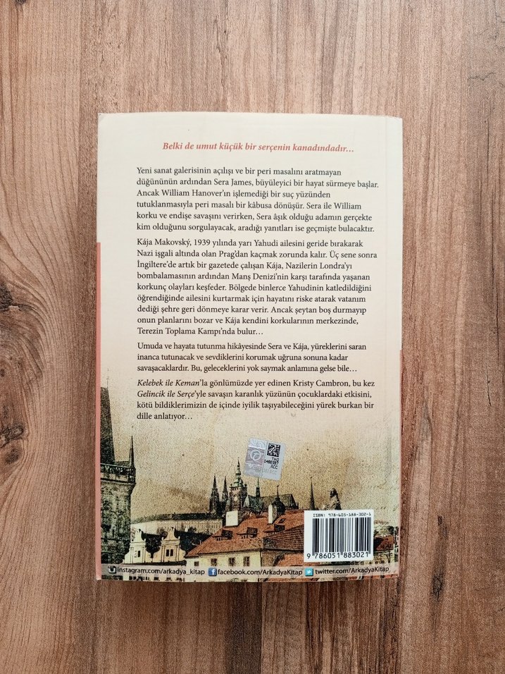 Kristy Cambron - Gelincik ile Serçe - Görsel 2