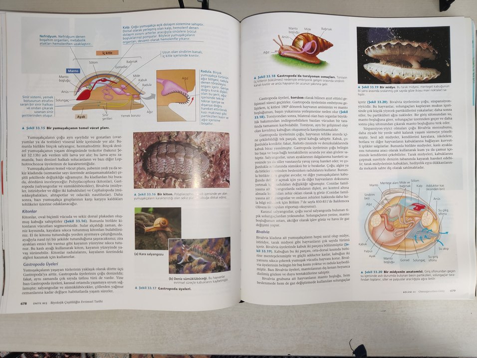 Campbell Biyoloji 9. Baskı Orijinal Türkçe - Görsel 2