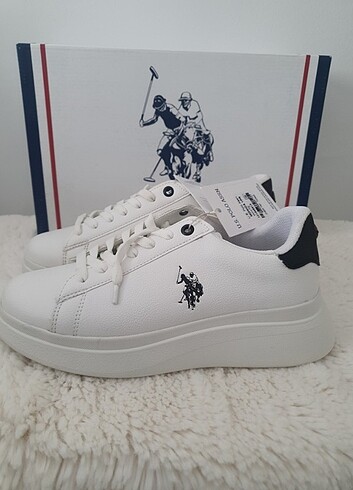 Us polo Sneaker 