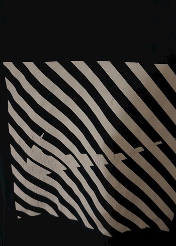 Siyah Baskılı Erkek Tişört - Görsel 2