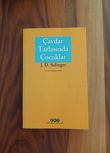 Çavdar Tarlasında Çocuklar Yapı Kredi Yayınları
