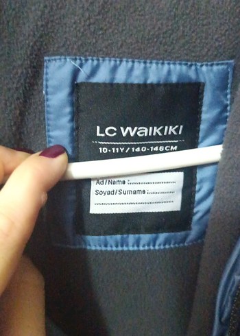 Erkek Çocuk Mavi Kapüşonlu Mont - Görsel 3