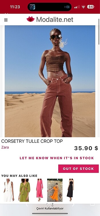 Zara büstiyer