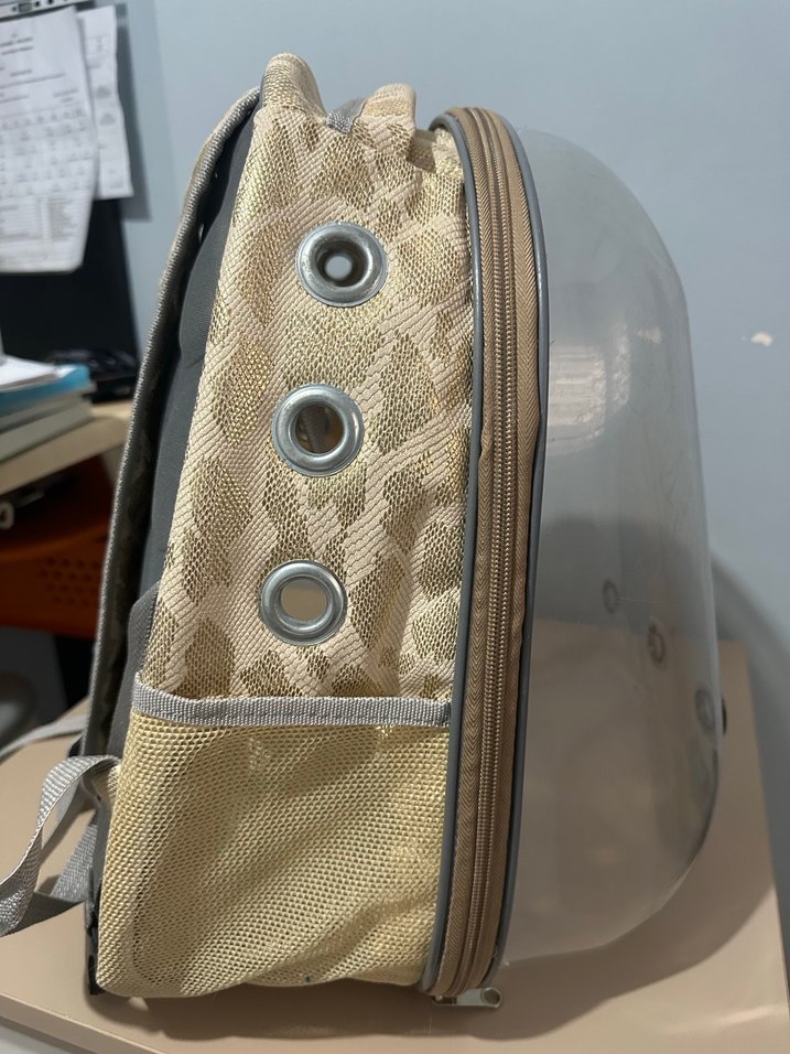 Kedi taşıma çantası sırt çantası - Görsel 4