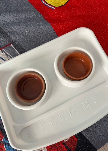 Kedi mama ve su kabı - Görsel 8