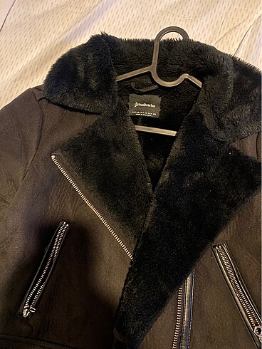 Stradivarius stradivarius Mont