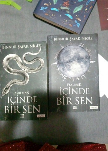 İçinde Bir Sen - Binnur Şafak Nigiz