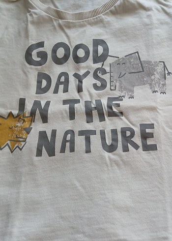 Sarı ve Gri Baskılı Erkek Çocuk Tişörtleri - Görsel 3