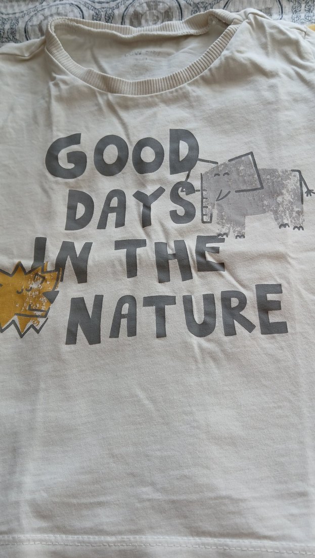 Sarı ve Gri Baskılı Erkek Çocuk Tişörtleri - Görsel 3