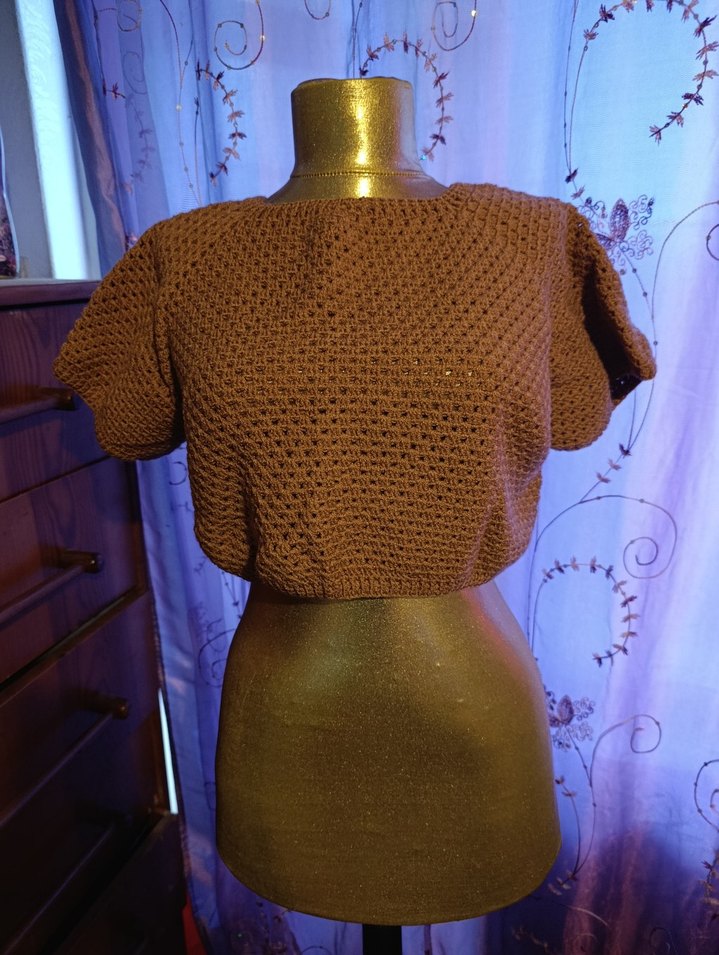 Kısa Kollu Örgü Kahverengi Kadın Kazak - Görsel 2