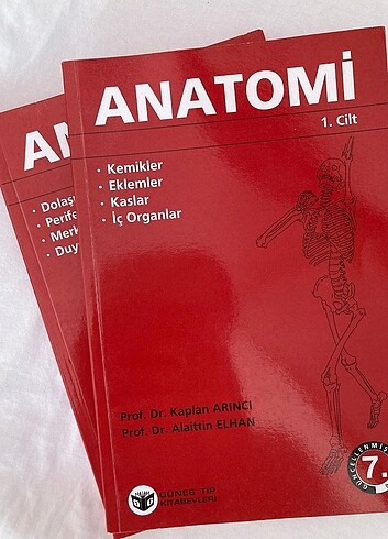 ANATOMİ KİTABI 