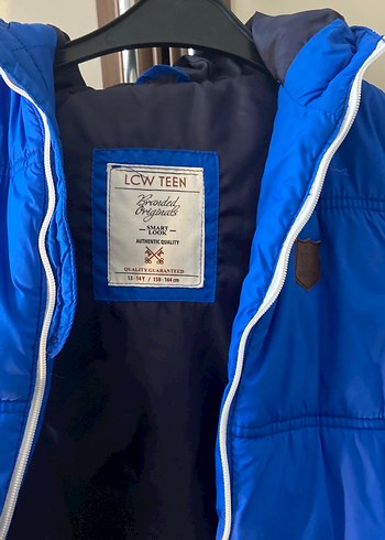 Parlak Mavi Fermuarlı Erkek Yelek Kapüşonlu şapkalı - Görsel 5