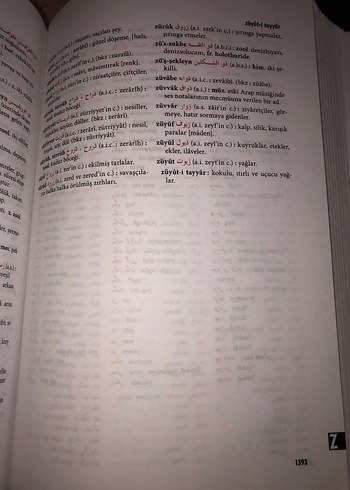 Ferit Devellioğlu Osmanlıca-Türkçe Ansiklopedik Lügat Sözlük - Görsel 9
