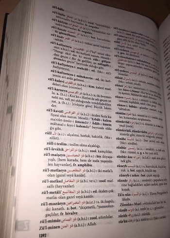 Ferit Devellioğlu Osmanlıca-Türkçe Ansiklopedik Lügat Sözlük - Görsel 7