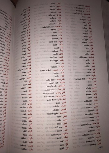 Ferit Devellioğlu Osmanlıca-Türkçe Ansiklopedik Lügat Sözlük - Görsel 10