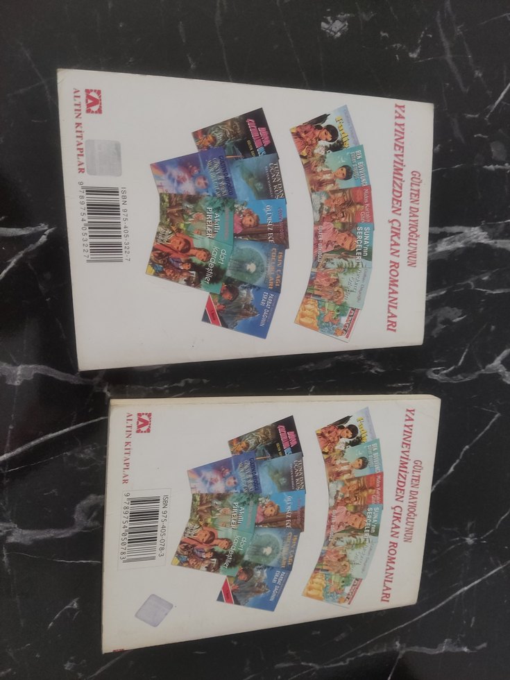 İşin Aşı Çocukları &amp; Parra Dağının Esrarı Kitapları - Görsel 2