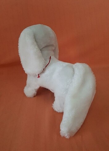 Beden Sevimli Beyaz Köpek