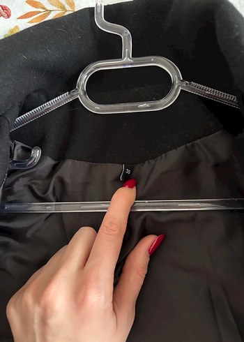 siyah kaban - Görsel 3