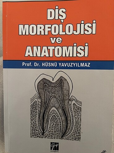Diş morfolojisi ve anatomisi