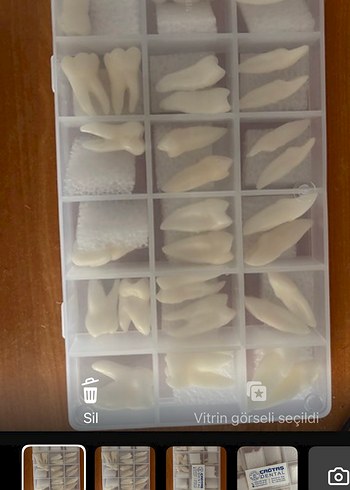 Anatomik diş mum modelleri - Görsel 4