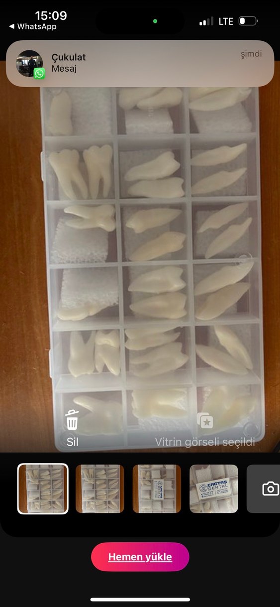 Anatomik diş mum modelleri - Görsel 4