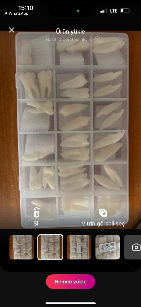 Anatomik diş mum modelleri - Görsel 2