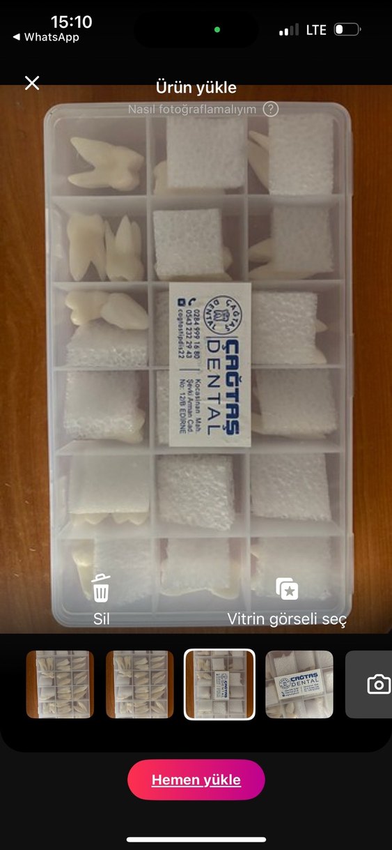 Anatomik diş mum modelleri - Görsel 3