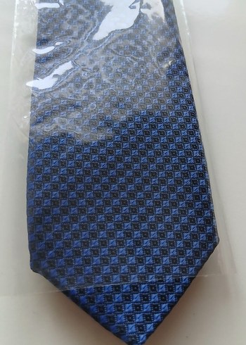Klasik Şıklık Mavi Erkek Kravat - Görsel 4
