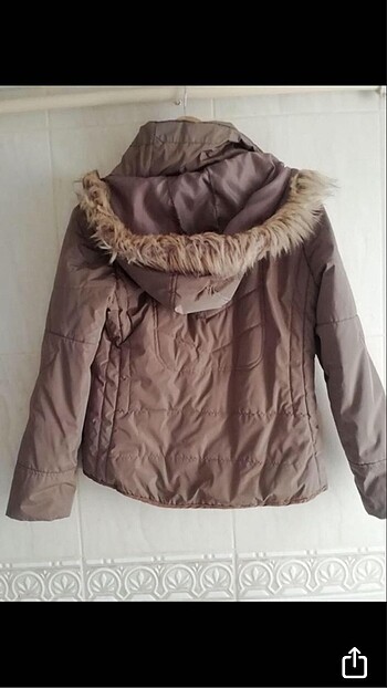 Limon kaban - Görsel 3