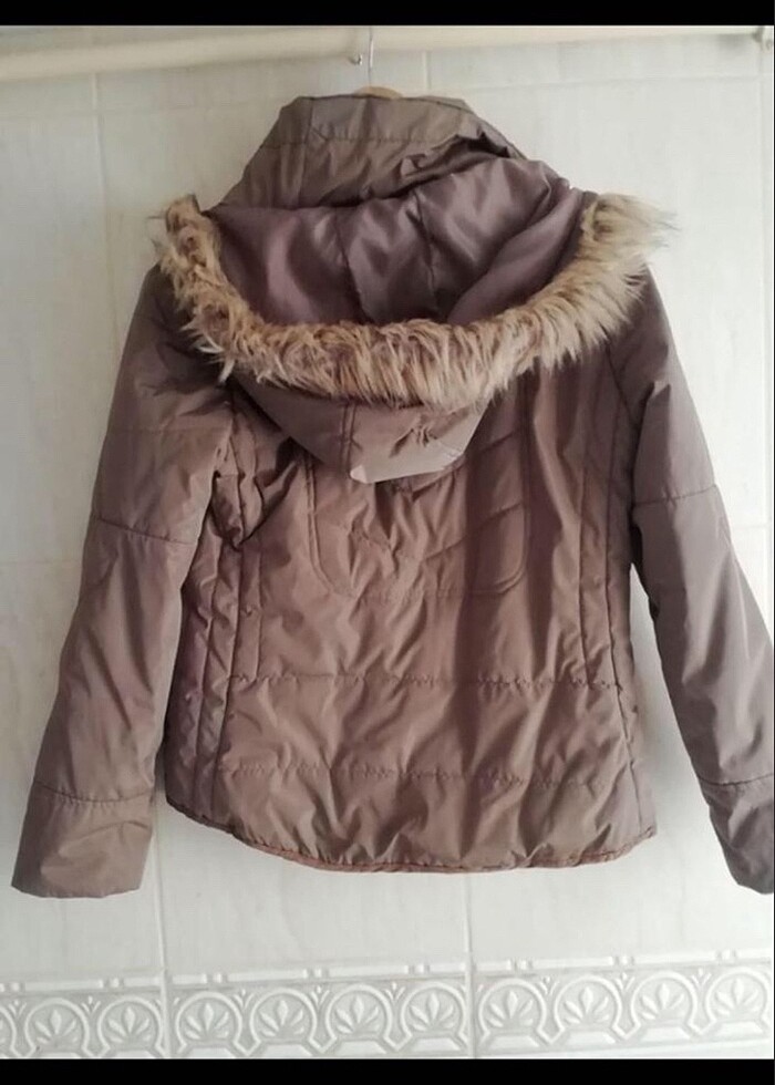 Limon kaban - Görsel 3