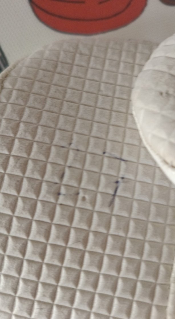 Kız Çocuk Beyaz Lastikli Bale Ayakkabısı - Görsel 3