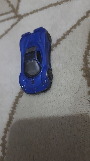 Lamborgini